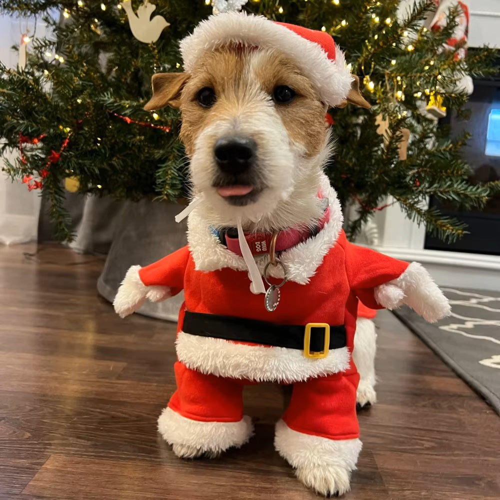 Starry Weihnachtsmann-Hundekostüm