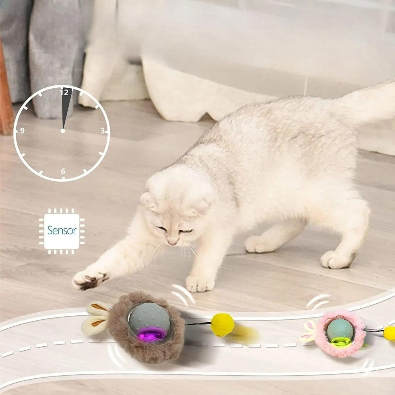 Bärli Interaktives Spielzeug für Katzen