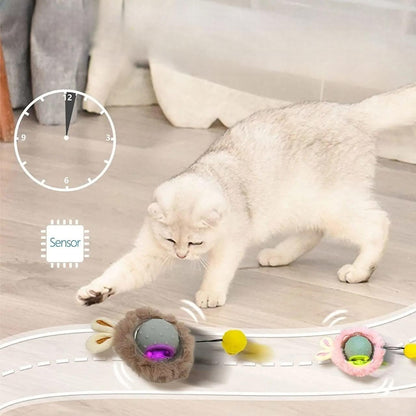 Bärli Interaktives Spielzeug für Katzen