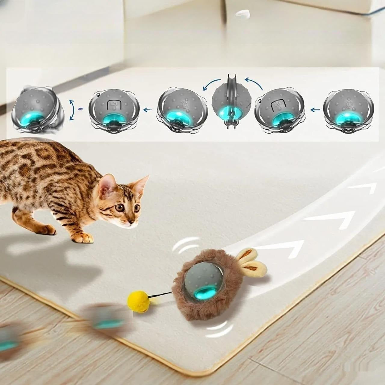 Bärli Interaktives Spielzeug für Katzen