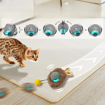 Bärli Interaktives Spielzeug für Katzen