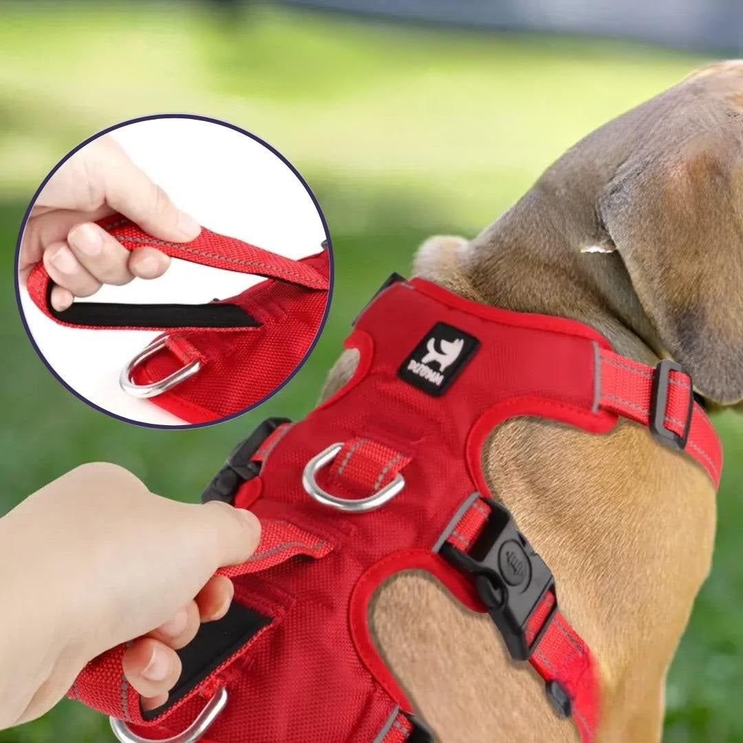 Georg Hunde Geschirr mit reflektierenden Details