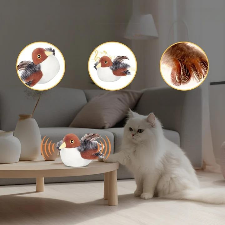 Pfiffi Interaktives Katzenspielzeug