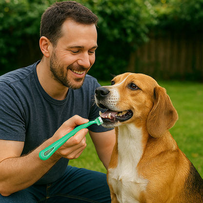 Greg | 3-Kopf-Hundezahnbürste zur täglichen Zahnpflege - Für kleine und große Hunde