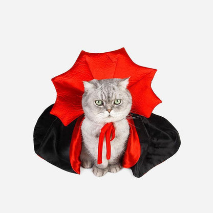 Zorro | Komfortabel und Stressfrei Gruseln