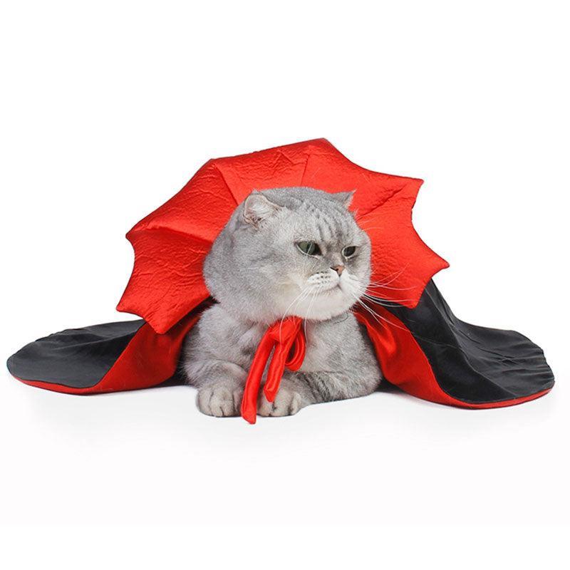 Zorro | Komfortabel und Stressfrei Gruseln