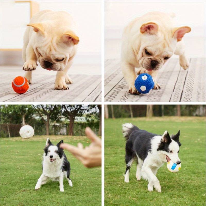 Jasper | Kauball zur Stressreduzierung bei Hunden