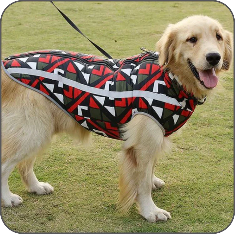 Lars Wasserdichter Hundemantel