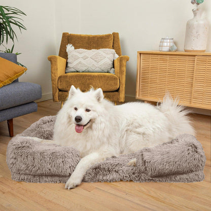 Lambert Komfort Schlafbett Hunde