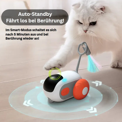 Yara | Interaktive Katzenauto gegen Langeweile und Stress