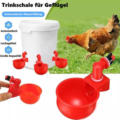 Klara | Automatischer Wasserspender für Geflügel