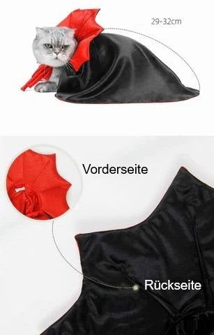 Zorro | Komfortabel und Stressfrei Gruseln