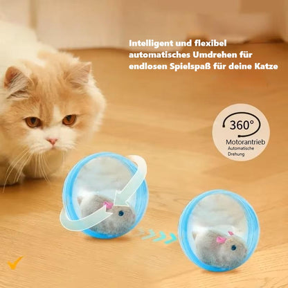 Winnie | Spielball für Hunde und Katzen, der Langeweile reduziert