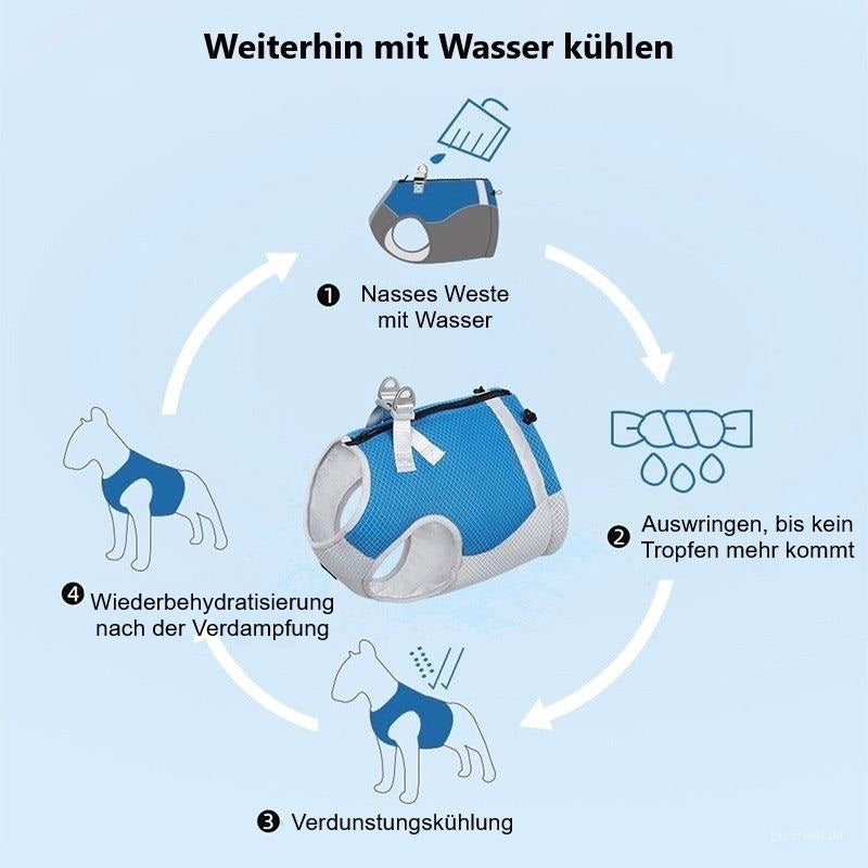 Zoey | Keine Hitze und Stress für eine bessere Atmung