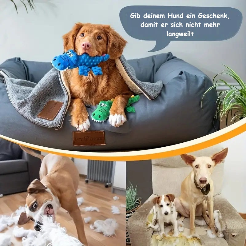 Marley | Spielzeug, das Bewegung anregt und Zahnbelag entfernt