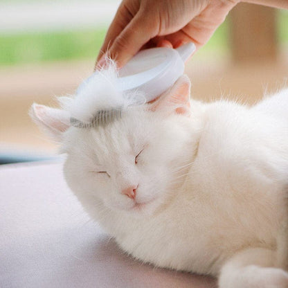 Sally | Weiche Bürste für lose Haare und Verfilzungen