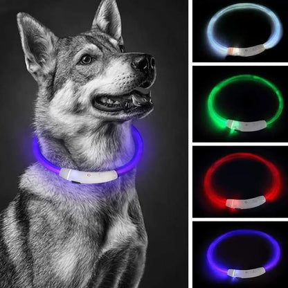 Nick LED Hundehalsband Wiederaufladbar