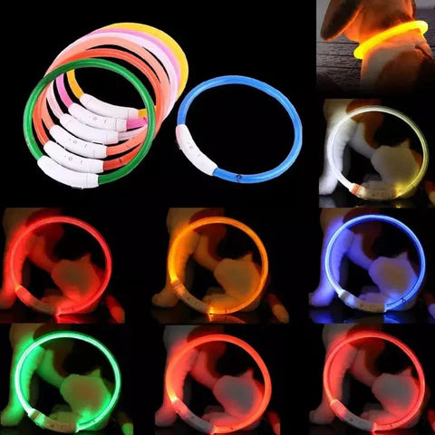 Nick LED Hundehalsband Wiederaufladbar