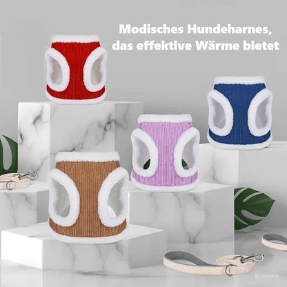 Susi | Erhalte einen Gürtel kostenlos im Wert von 14,95 € dazu