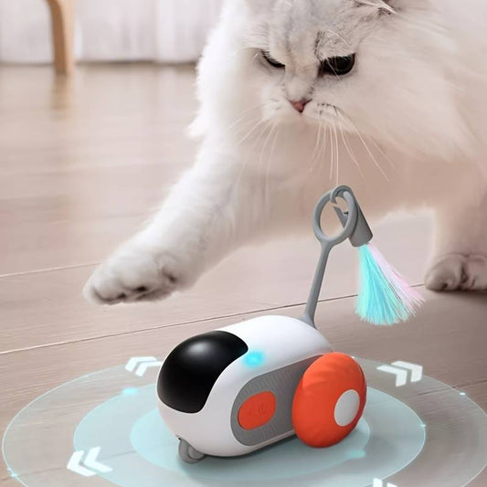 Yara | Interaktive Katzenauto gegen Langeweile und Stress