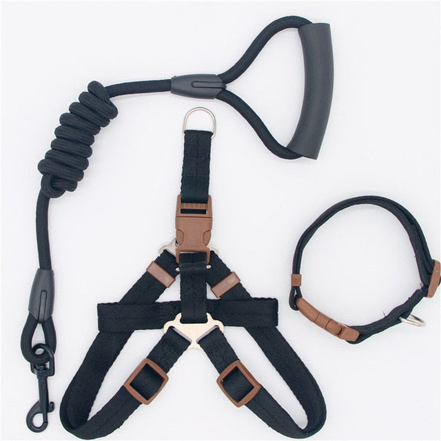 Nox | Bequeme Hundeleine mit Geschirr und Halsband