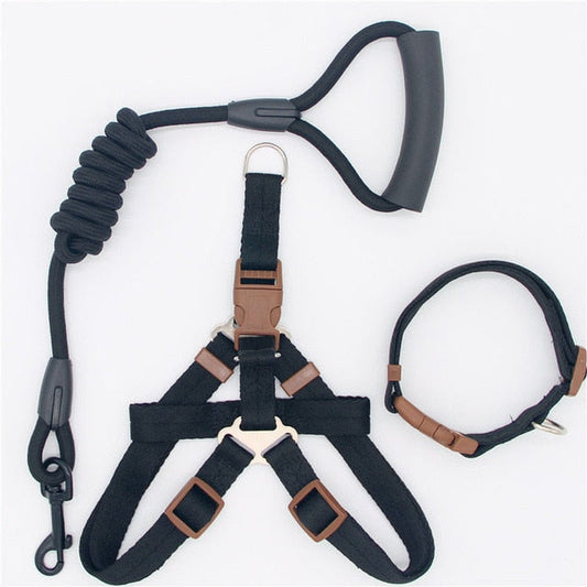 Nox | Bequeme Hundeleine mit Geschirr und Halsband