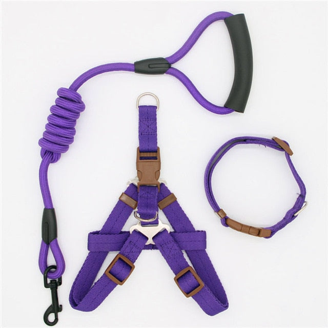Nox | Bequeme Hundeleine mit Geschirr und Halsband