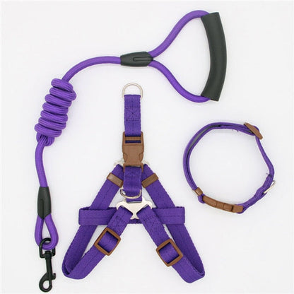 Nox | Bequeme Hundeleine mit Geschirr und Halsband
