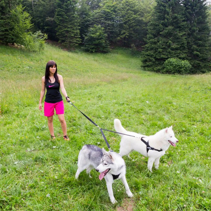Dagmar Doppelleine für zwei Hunde