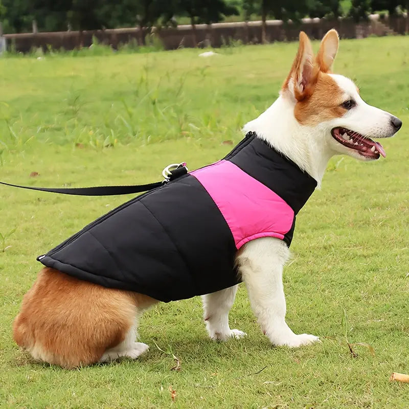 Wolfi Hundemantel