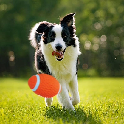 Jasper | Kauball zur Stressreduzierung bei Hunden