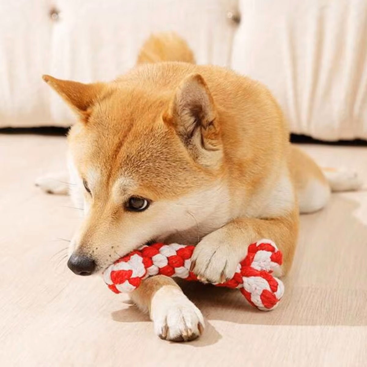 Thor Kauknochen für Hunde