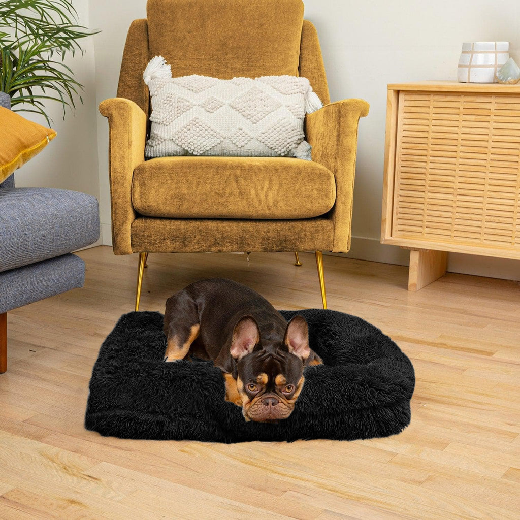 Lambert Komfort Schlafbett Hunde