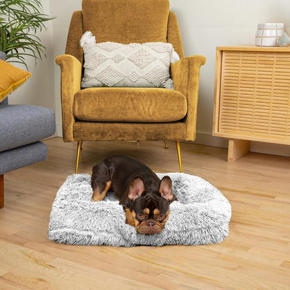 Lambert Komfort Schlafbett Hunde