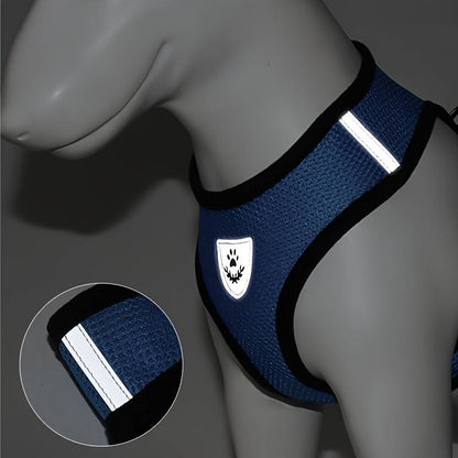 Tobi | Atmungsaktives Geschirr für Haustiere