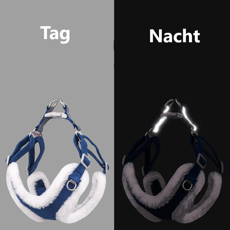 Susi | Erhalte einen Gürtel kostenlos im Wert von 14,95 € dazu