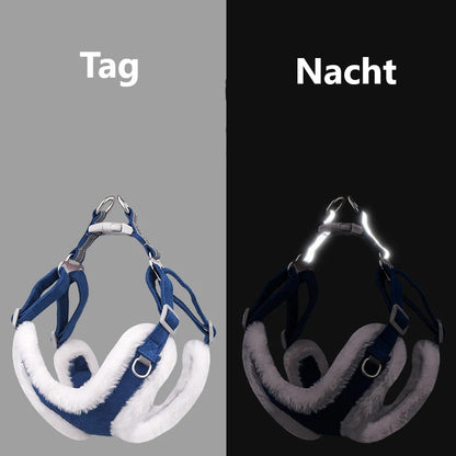 Susi | Erhalte einen Gürtel kostenlos im Wert von 14,95 € dazu