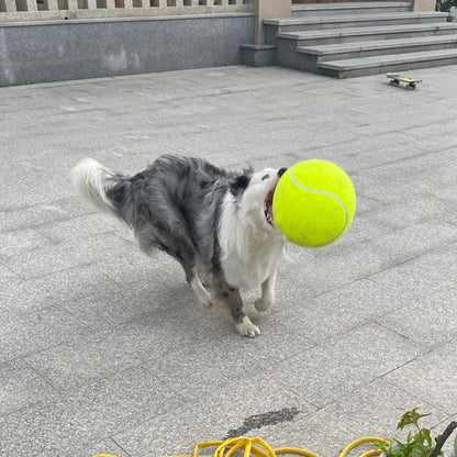 Clawlio | hundespielzeug unkaputtbar für stundenlangen Spaß-4