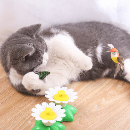 Ziva | Interaktives Katzenspielzeug
