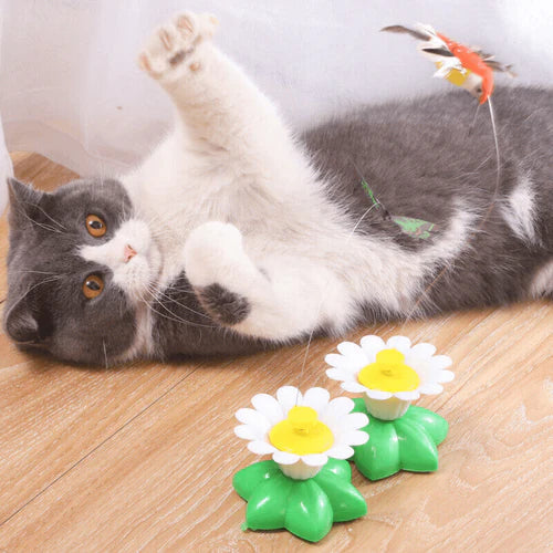 Ziva | Interaktives Katzenspielzeug