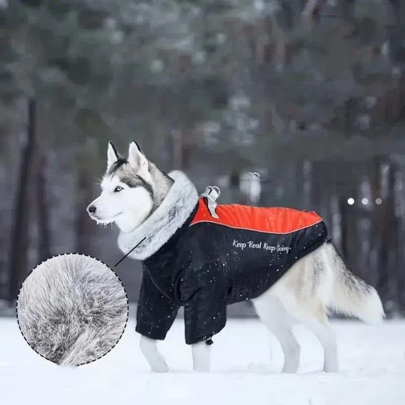 Kuno Hundejacke mit Kragen